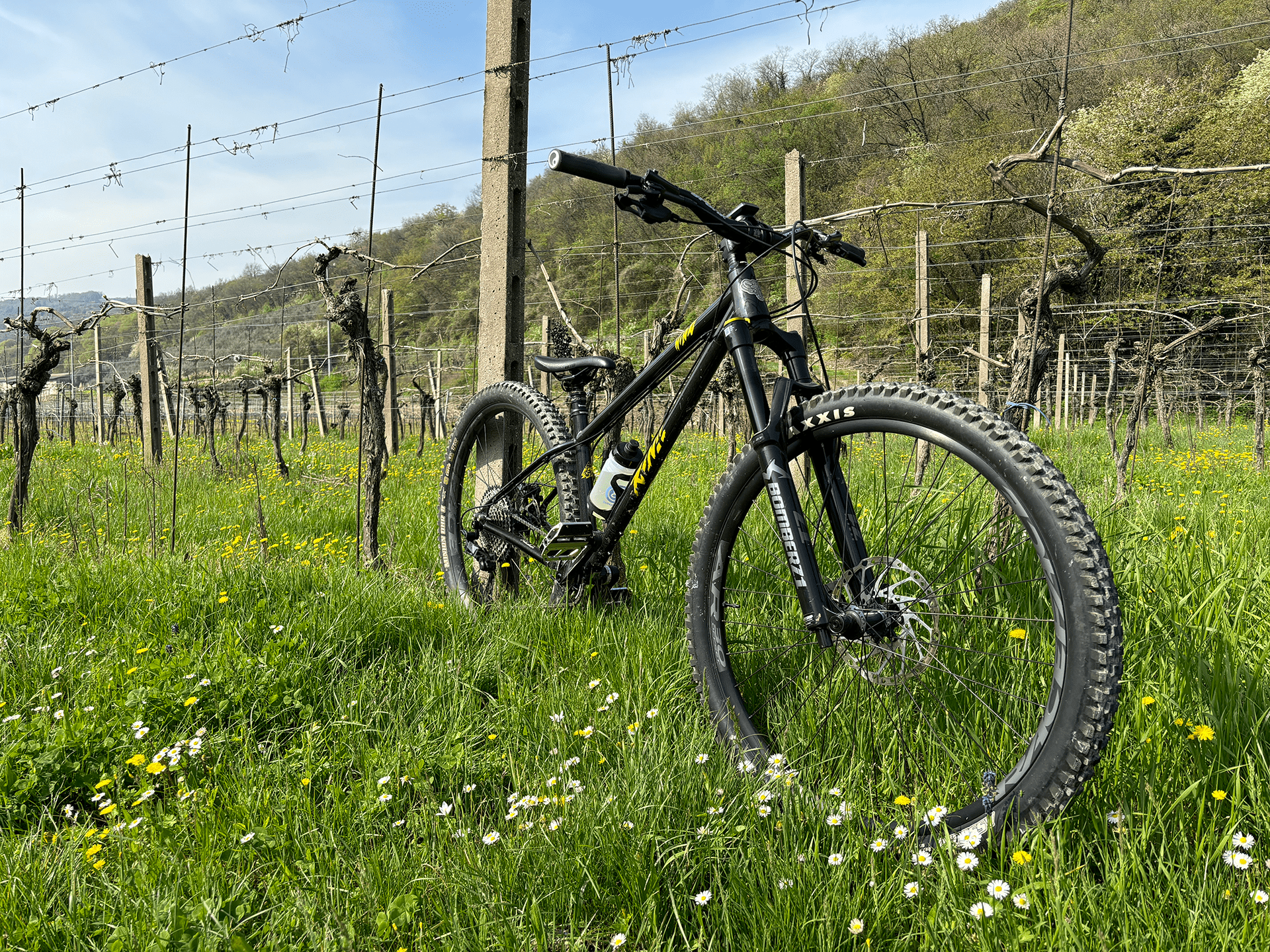 WHAT IS MTB?